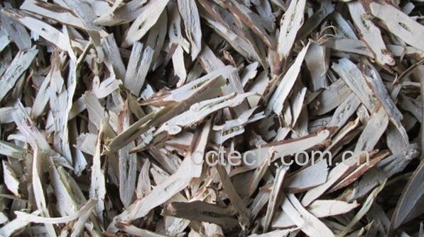 果蔬百科紫苏根-0