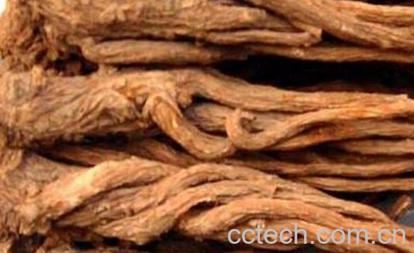 果蔬百科当归泡水喝的害处-0