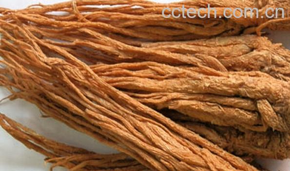 果蔬百科来月经能吃当归吗-0