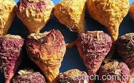 果蔬百科紫玛咖-0