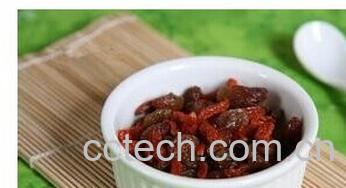 果蔬百科枸杞-0