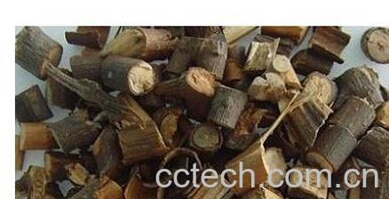 果蔬百科桂枝-0