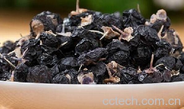 果蔬百科野生黑枸杞-0