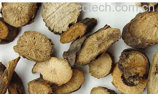 果蔬百科赤芍的功效与作用-0