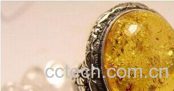 果蔬百科琥珀-0