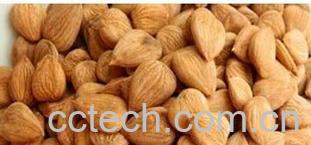 果蔬百科桃仁-0