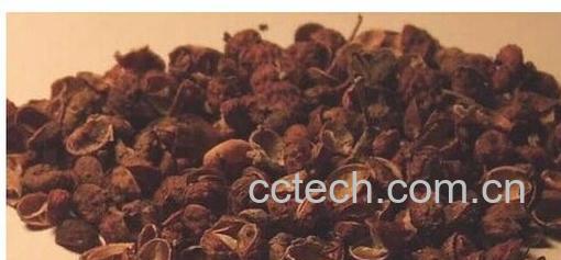 果蔬百科花椒-0