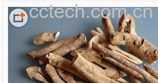 果蔬百科丹皮-0