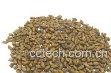 果蔬百科决明子-0