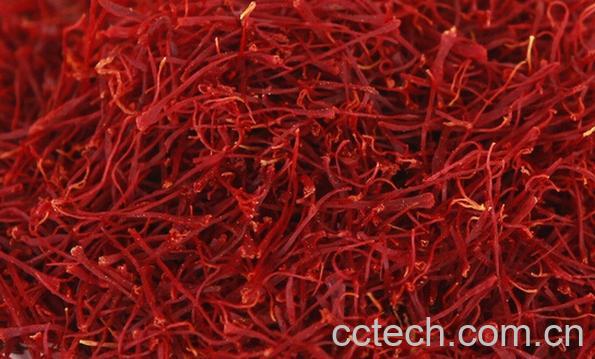 果蔬百科藏红花-0