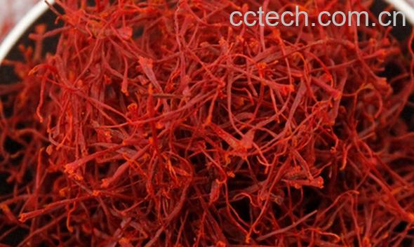 果蔬百科藏红花-0