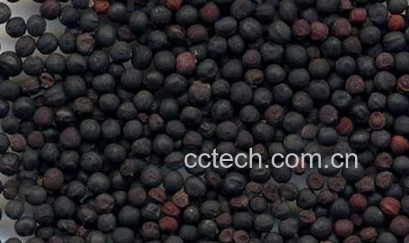 果蔬百科王不留行-0