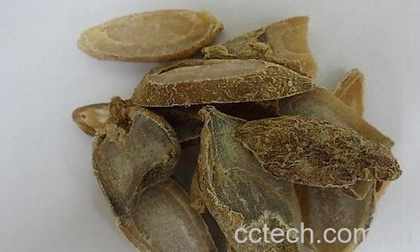 果蔬百科郁金-0