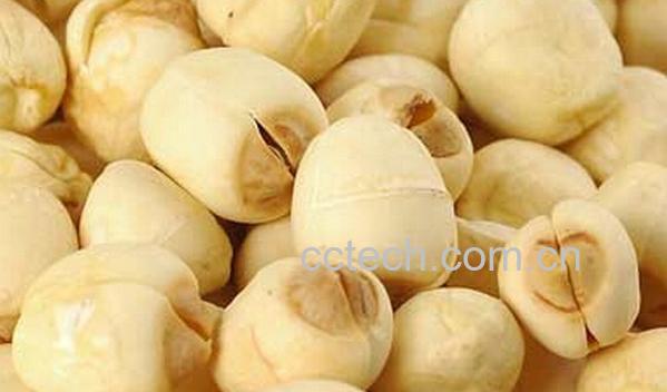 果蔬百科莲子-0