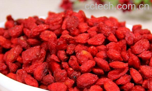 果蔬百科枸杞-0