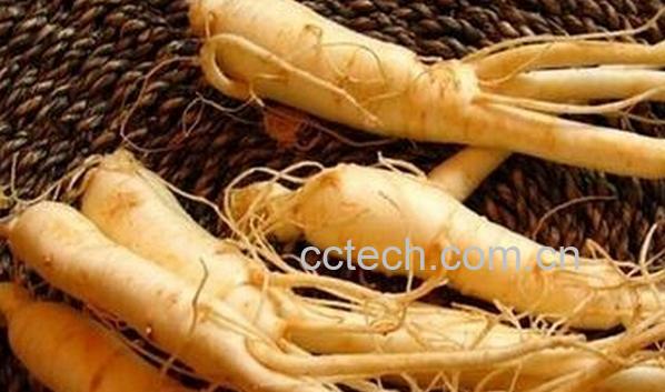 果蔬百科新鲜人参怎么保存-0