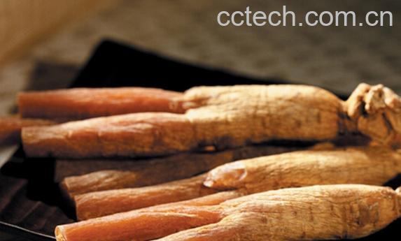 果蔬百科高丽参-0