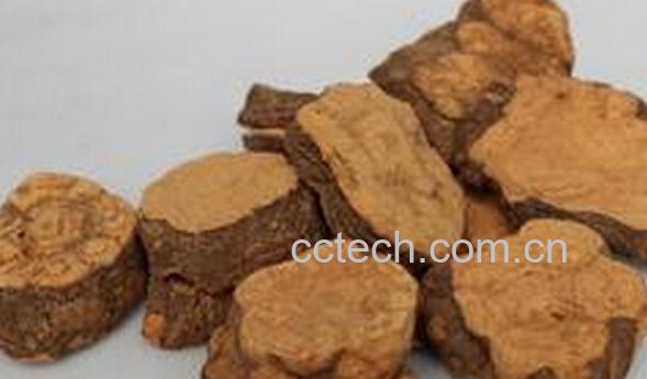 果蔬百科何首乌-0