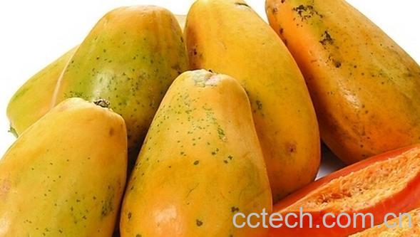 果蔬百科吃什么可以丰胸-0