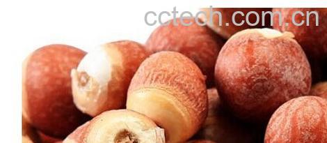 果蔬百科鸡头米的营养价值-0