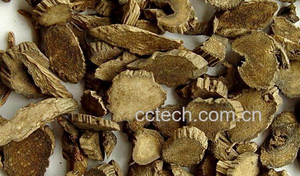 果蔬百科川牛膝-0