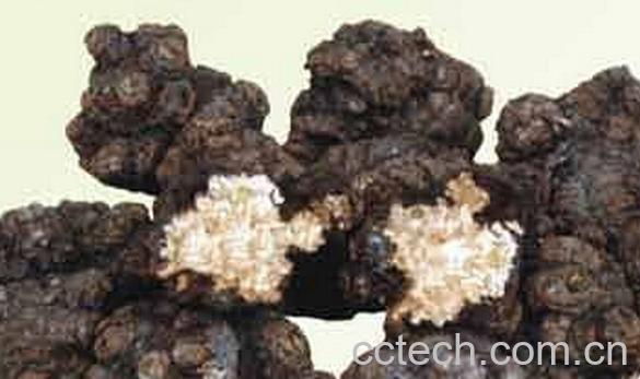 果蔬百科川穹-0