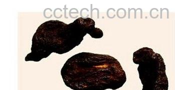 果蔬百科熟地-0