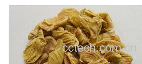 果蔬百科鸡内金-0