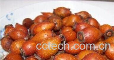 果蔬百科金樱子-0