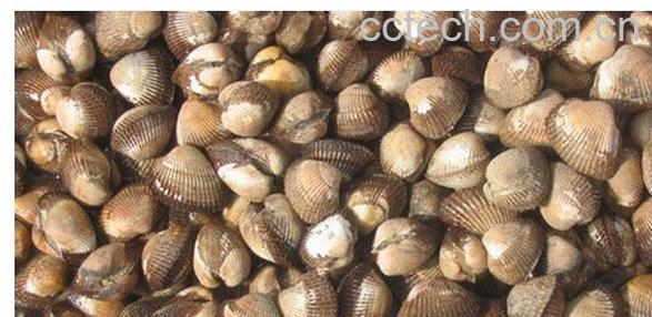 果蔬百科瓦楞子-0