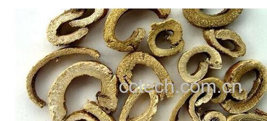 果蔬百科桑白皮-0