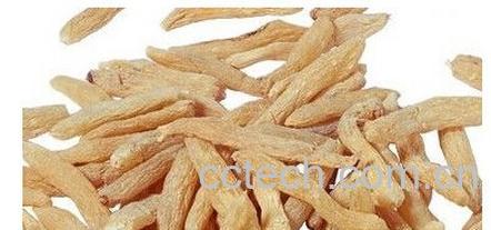 果蔬百科天冬-0