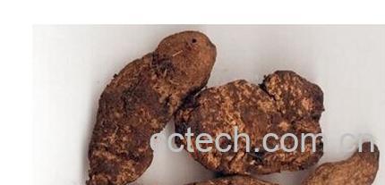 果蔬百科生地黄-0