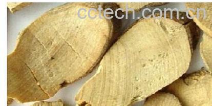 果蔬百科乌药-0