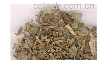 果蔬百科仙鹤草-0