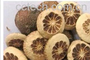 果蔬百科枳壳-0