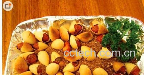 果蔬百科白果-0