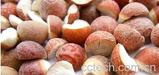 果蔬百科芡实-0