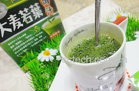 果蔬百科大麦若叶青汁-0