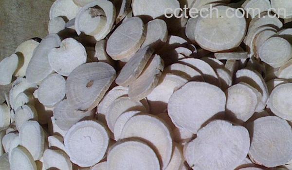 果蔬百科生白芍-0