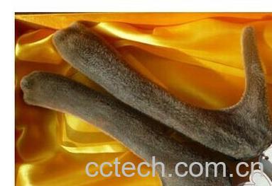 果蔬百科鹿茸-0