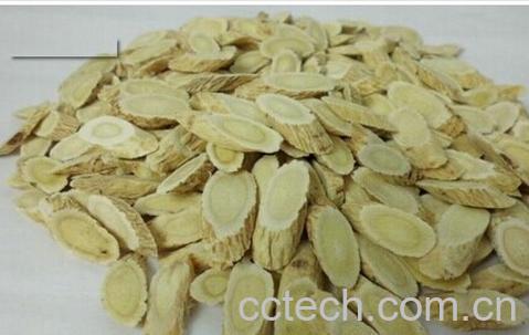 果蔬百科黄芪片-0