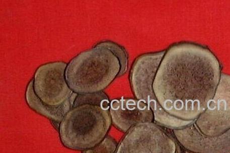 果蔬百科鹿茸-0