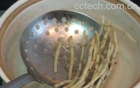 果蔬百科鱼腥草煮水-0