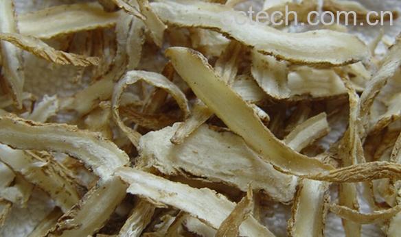 果蔬百科当归片-0