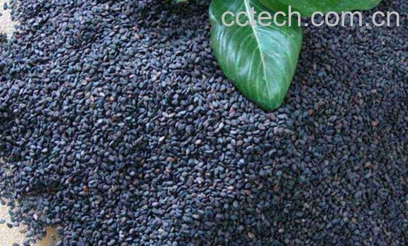 果蔬百科孕妇吃芝麻有什么好处-0