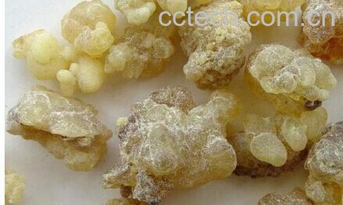 果蔬百科醋乳香-0