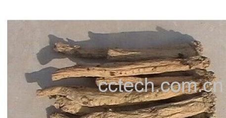 果蔬百科长花党参-0