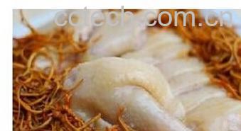 果蔬百科虫草花的吃法-0