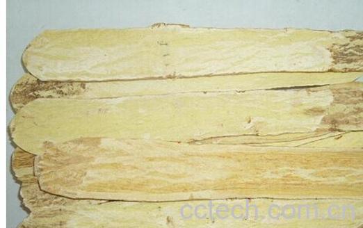 果蔬百科长柄岩黄芪-0